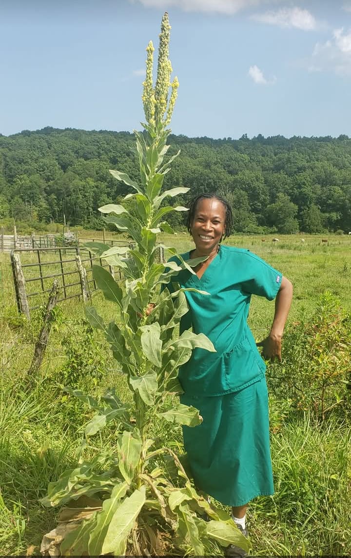 whatsapp image 2026 02 15 at 5.20.23 pm (3)