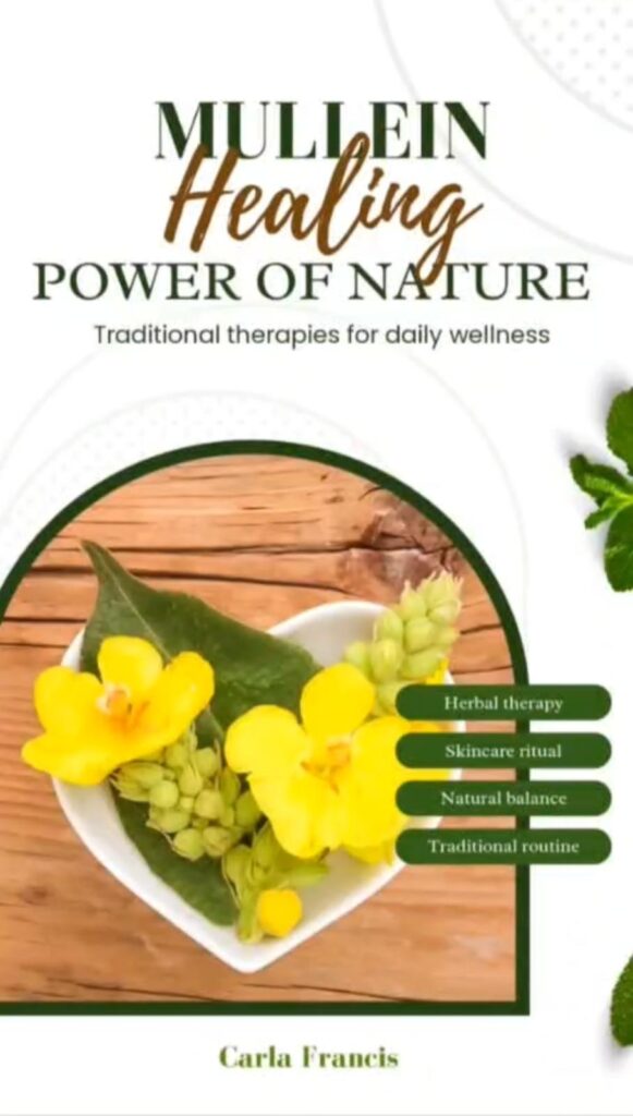 whatsapp image 2026 02 18 at 10.07.42 pm